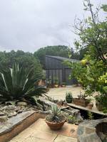 Carl CANTIN - MEMPHIS_Studio