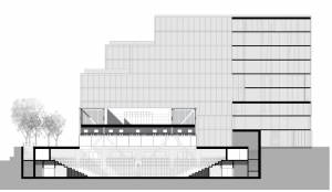 Damien FRAULOB - DAMIEN FRAULOB